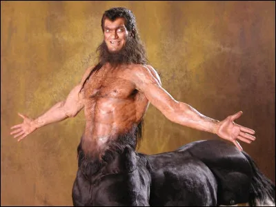 Quelle cr&eacute;ature est sur cette image ?