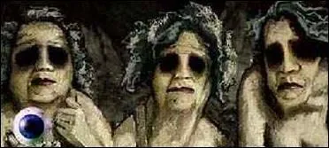 Les Gres, soeurs des Gorgones, souvent reprsentes sous l'aspect de vieilles femmes, ne possdaient que deux choses en un seul expemplaire, qu'elles se prtaient  tour de rle. Quoi ?