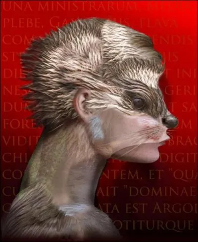 Galanthis tait la servante d'Alcmne qui permit la naissance d'Hercule en dtournant l'attention des envoys d'Hra. En guise de punition, elle fut transforme en :