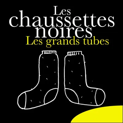 Qui &eacute;tait le chanteur du groupe ''Les Chaussettes Noires'' ?