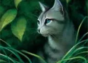 Quiz Connais-tu bien Feuille de Lis ?