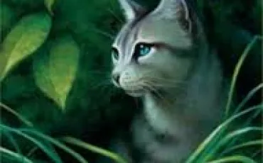 Quiz Litt�rature, po�sie