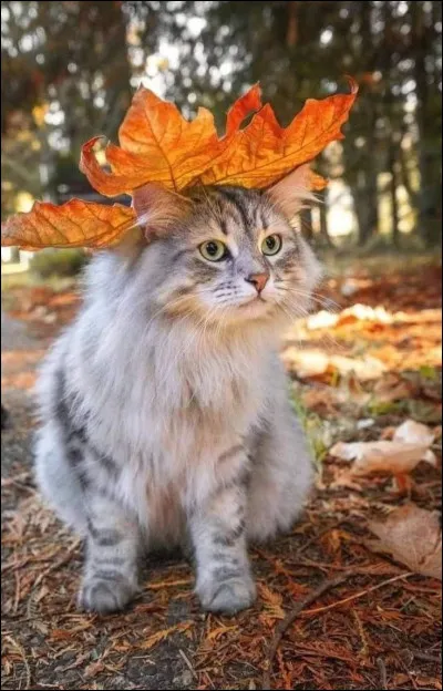 Comment s'appelle sa s�ur ?