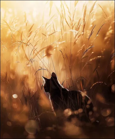 Et qui sont les parents de son p&egrave;re ?