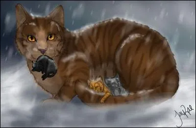 Que regrette-t-elle ?