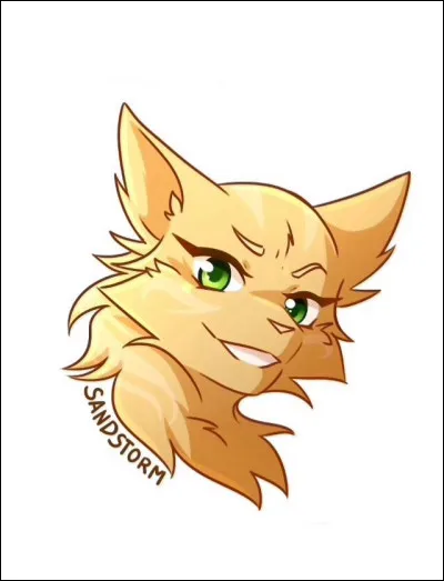 Qui sont ses mentors ?