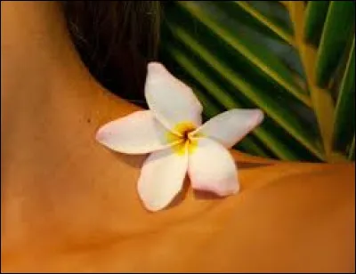 Comment est une personne qui a les nerfs &agrave; fleur de peau ?