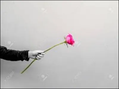Que signifie l'expression "Faire une fleur &agrave; quelqu'un" ?