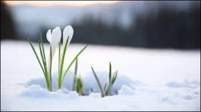 Quel acteur fonda l'association "Perce-Neige" en 1966 ?