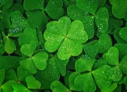 Test As-tu de la chance ?