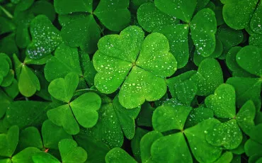 Quiz Test de personnalit�