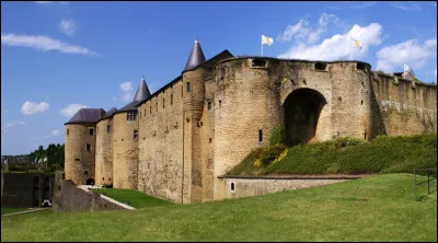 Quel est le nom donn&eacute; &agrave; la grille prot&eacute;geant l'entr&eacute;e des ch&acirc;teaux forts ?