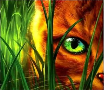 Aimes-tu apprendre de nouvelles choses ?