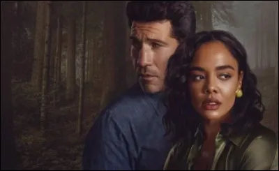 Quelle s&eacute;rie Netflix est refl&eacute;t&eacute;e &agrave; travers ce poster ?