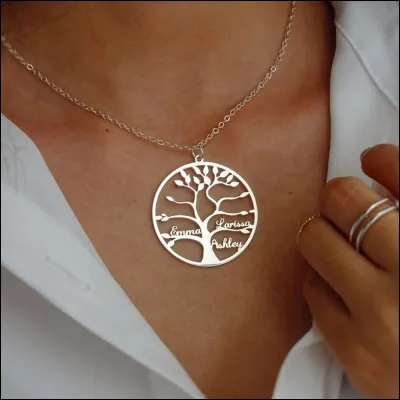 Qui fait partie de son arbre g&eacute;n&eacute;logique (alliance et lien de sang) ?