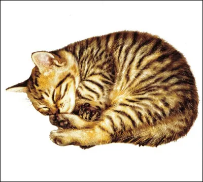 Quel chefs a-t-il connus ? SPOIL !