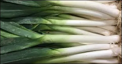 Le ... est consomm&eacute; cuit dans plusieurs recettes