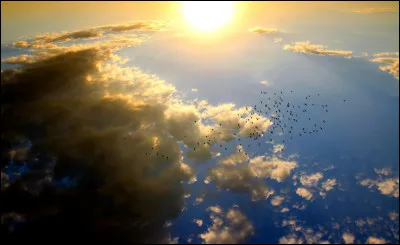 Quel est ton &eacute;l&eacute;ment n&deg;2 ?