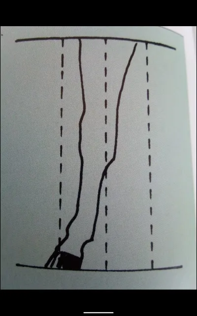 Comment s'appelle cet aplomb ?