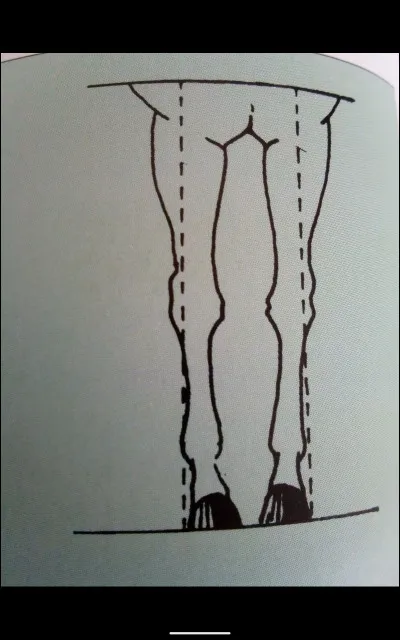 Quel est cet aplomb ?