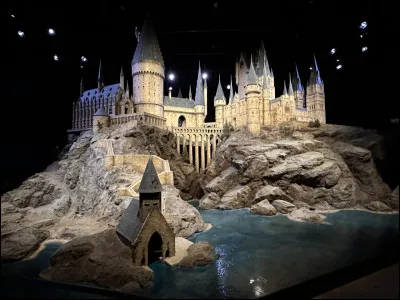 Quel est le Patronus de Harry Potter ?