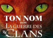 Test LGDC : partie 3