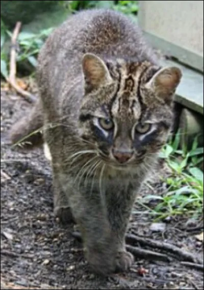 Quelle est la premi&egrave;re lettre de ton pr&eacute;nom ?