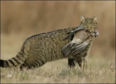 Quel jour es-tu n&eacute;(e) ?