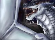 Quiz LRDF : Albatros