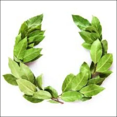 Il a re&ccedil;u une couronne de ...