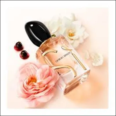 On cherche le nom d'un parfum de Giorgio Armani :