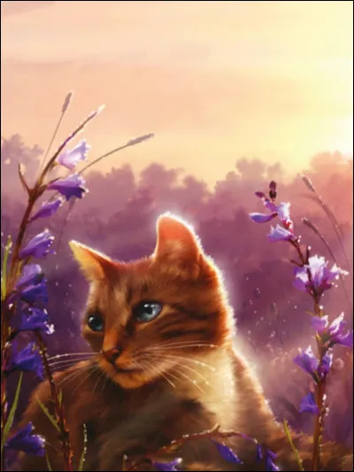 Et qui est le demi-fr&egrave;re d'�il de Myosotis ?