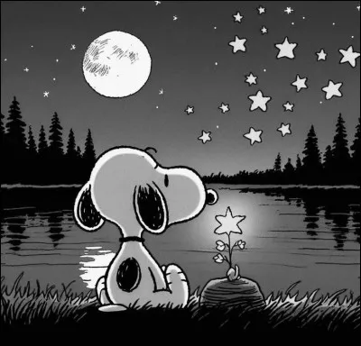 Quelle est ton utilit&eacute; dans une situation compliqu&eacute;e ?