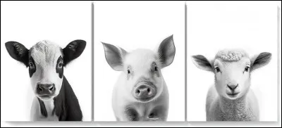 Quels animaux &eacute;mettent le plus de gaz ?