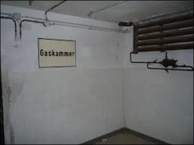 Quel est le nom du gaz utilis&eacute; par les nazis dans les chambres &agrave; gaz des centres d'extermination ?