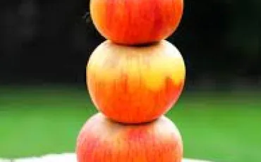 Quiz Culture g�n�rale