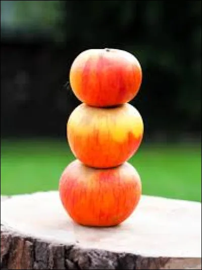 Compl&eacute;tez cette c&eacute;l&egrave;bre expression : "Haut comme ... pommes" :