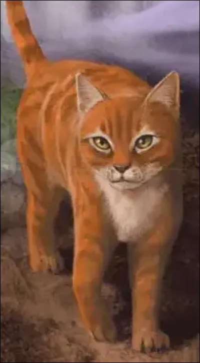 Qui &eacute;tait son mentor lorsqu'elle &eacute;tait apprentie guerri&egrave;re ?