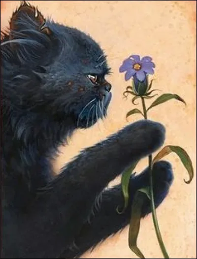 Et quand elle est devenue apprentie gu&eacute;risseuse, qui &eacute;tait son mentor ?