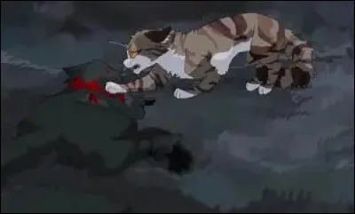 Qu'a dit Museau Cendr&eacute; &agrave; Feuille de Lune avant de mourir ?