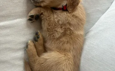 Quiz Test de personnalit�