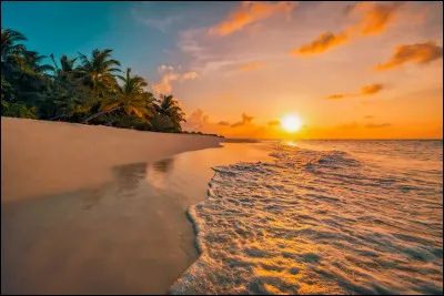 Quelles seraient pour toi les vacances id&eacute;ales ?