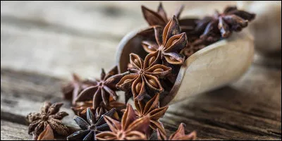 Laquelle de ces &eacute;pices se pr&eacute;sente comme un fruit s&eacute;ch&eacute; en forme d'&eacute;toile ?