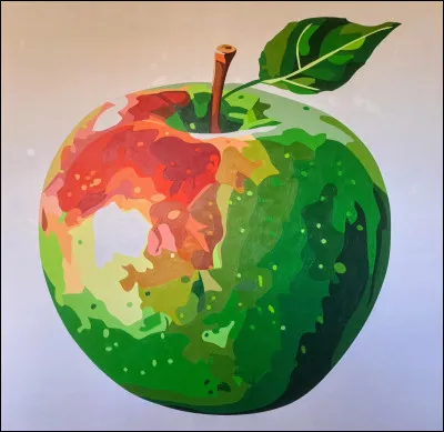 Quelle ville est connue comme "la Grosse Pomme" ?