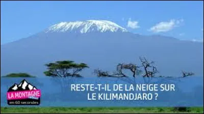 &Agrave; quel auteur doit-on la nouvelle "Les Neiges du Kilimandjaro" ?
