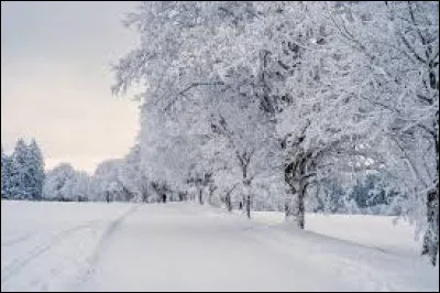 Quel est le nom de la science qui &eacute;tudie la neige, le manteau neigeux et les avalanches ?