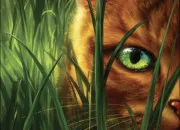 Quiz �toile de feu - LGDC