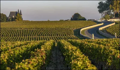 Quel sont les c&eacute;pages rouges employ&eacute;s sur la rive gauche de Bordeaux ?