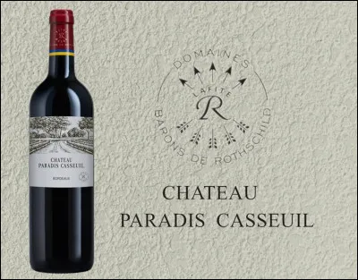 Quel est le terme sp&eacute;cifiquement employ&eacute; en bordelais pour exprimer la d&eacute;limitation d'un terroir viticole ?