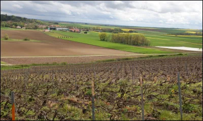 Quelle est la superficie actuelle du vignoble bordelais ?